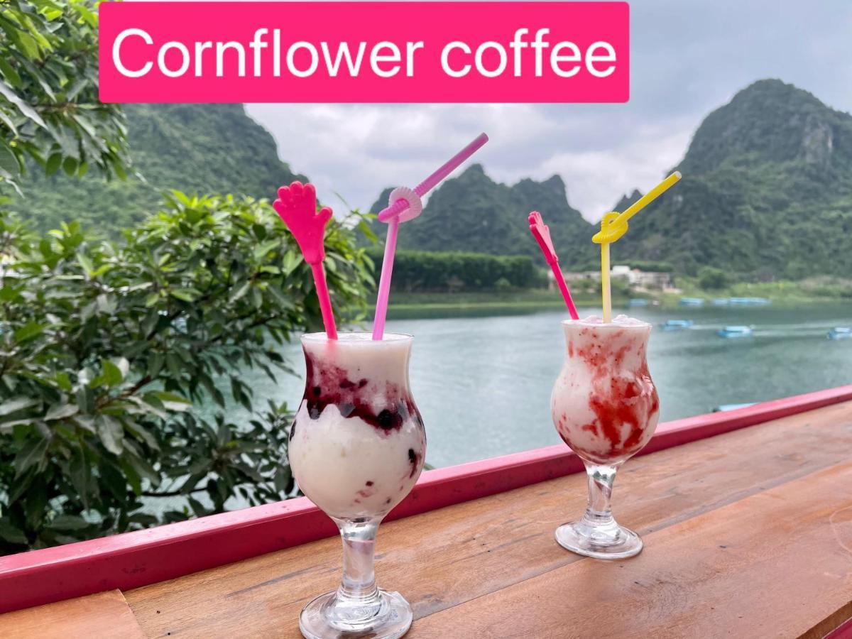 Cornflower Homestay Phong Nha Esterno foto