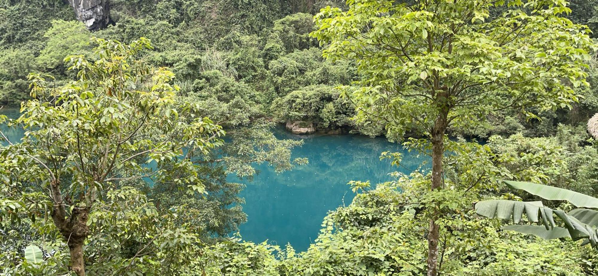 Cornflower Homestay Phong Nha Esterno foto