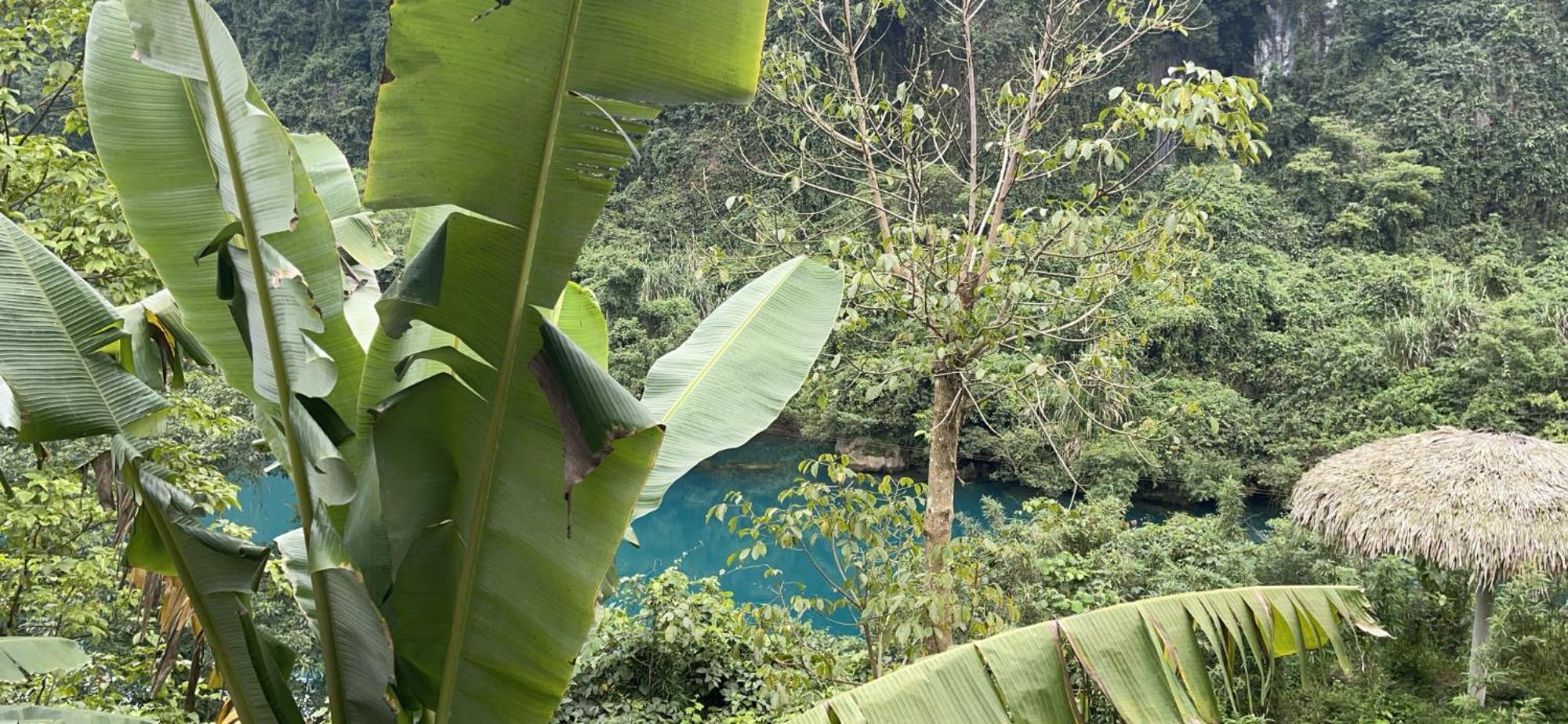 Cornflower Homestay Phong Nha Esterno foto